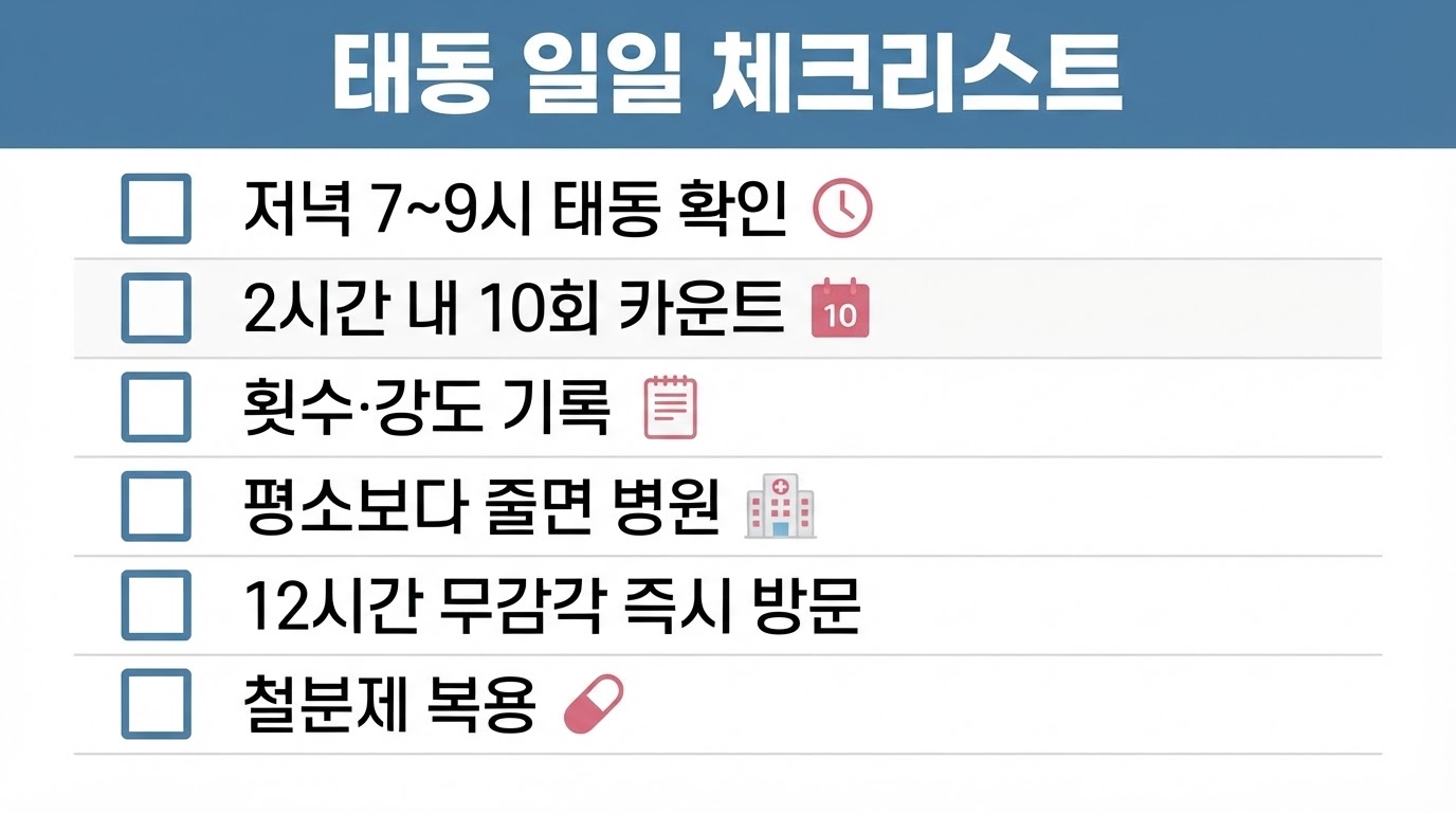 태동 일일 체크리스트 인포그래픽. 저녁 7~9시 확인, 2시간 내 10회 카운트, 횟수·강도 기록, 평소보다 줄면 병원, 12시간 무감각 즉시 방문, 철분제 복용.