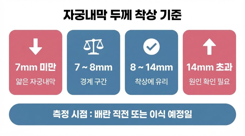 자궁내막 두께 착상 기준 인포그래픽. 7mm 미만은 얇은 자궁내막, 7~8mm는 경계 구간, 8~14mm는 착상에 유리, 14mm 초과는 원인 확인이 필요한 구간으로 정리