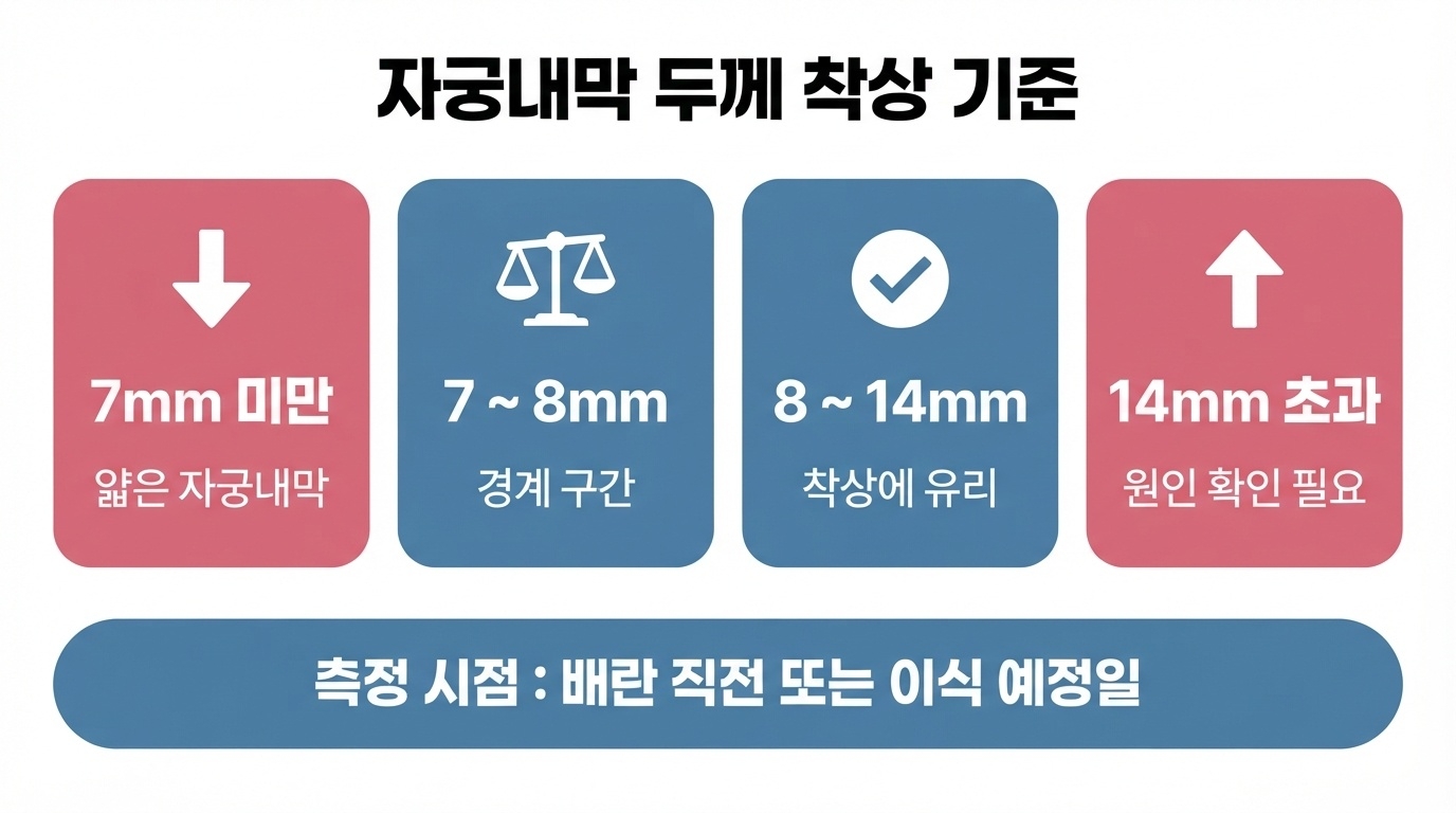 자궁내막 두께 착상 기준 인포그래픽. 7mm 미만은 얇은 자궁내막, 7~8mm는 경계 구간, 8~14mm는 착상에 유리, 14mm 초과는 원인 확인이 필요한 구간으로 정리