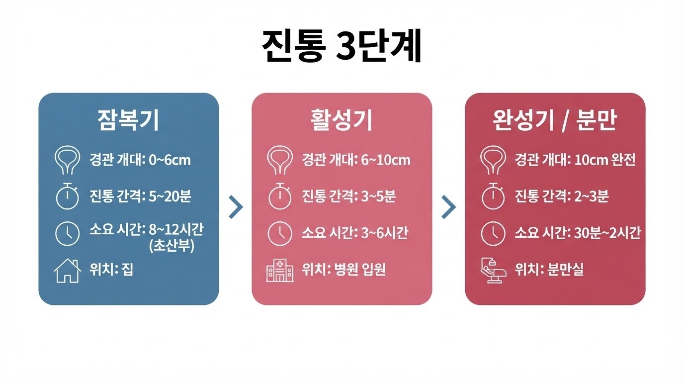 분만 진통 3단계 인포그래픽. 잠복기(0~6cm)·활성기(6~10cm)·완성기/분만(10cm) 단계별 진통 간격·소요 시간·위치 정보.