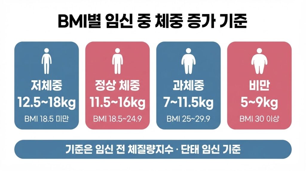 BMI별 임신 중 체중 증가 기준 인포그래픽. 저체중 12.5~18kg, 정상 체중 11.5~16kg, 과체중 7~11.5kg, 비만 5~9kg으로 단태 임신 권장 범위를 정리