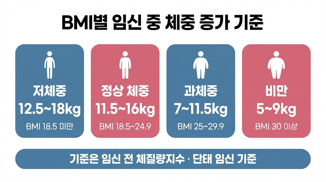 BMI별 임신 중 체중 증가 기준 인포그래픽. 저체중 12.5~18kg, 정상 체중 11.5~16kg, 과체중 7~11.5kg, 비만 5~9kg으로 단태 임신 권장 범위를 정리