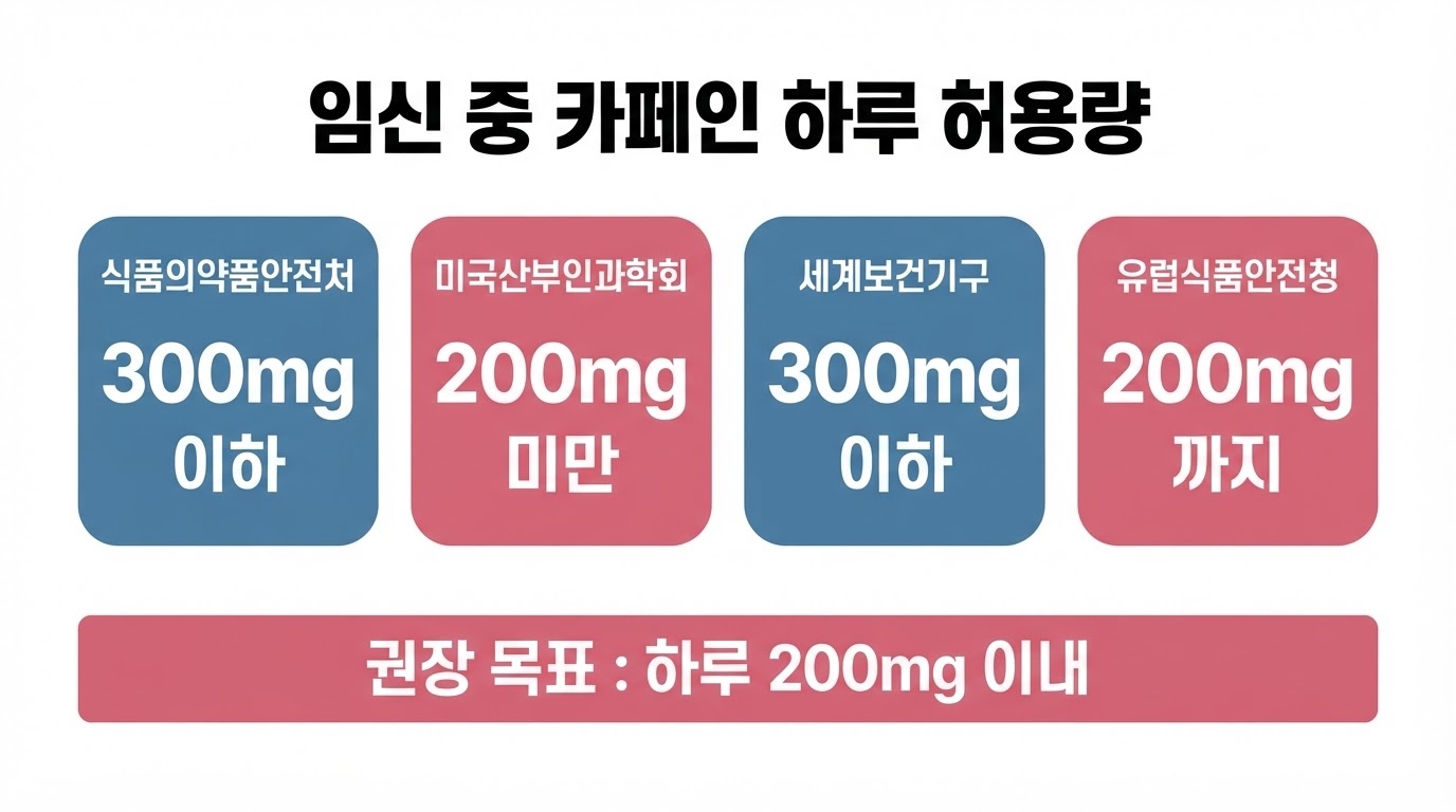 임신 중 카페인 하루 허용량 기준 비교 인포그래픽 — 식약처 300mg ACOG 200mg WHO 300mg EFSA 200mg 기관별 기준 이미지