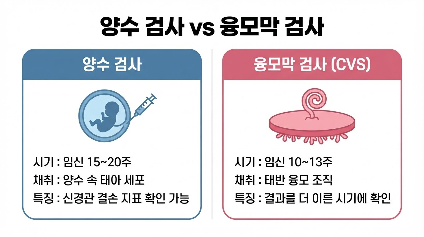 양수 검사와 융모막 검사 비교 인포그래픽 — 시기 채취 대상 확인 범위 결과 소요 기간을 항목별로 정리한 이미지