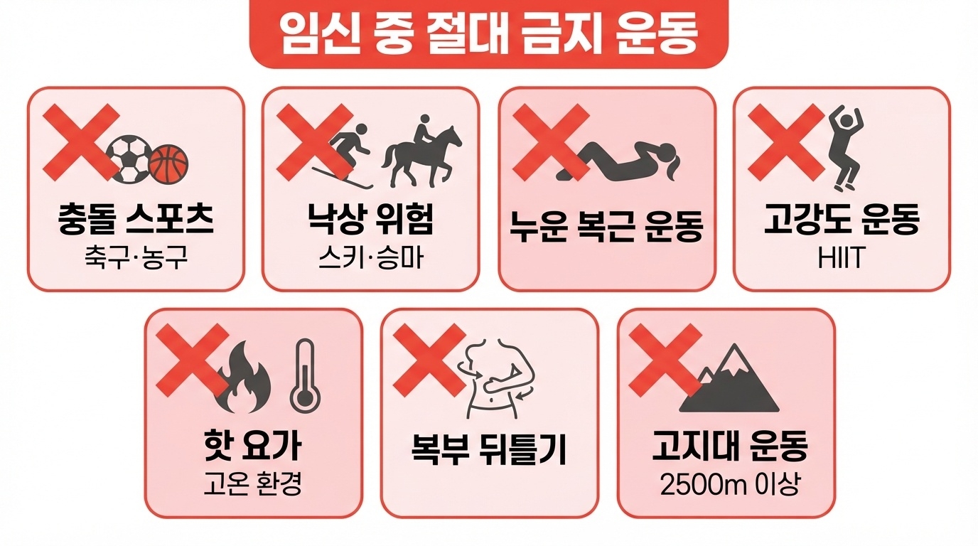 임신 중 절대 금지 운동 7가지 인포그래픽. 충돌 스포츠·낙상 위험·누운 복근 운동·고강도 운동·핫 요가·복부 뒤틀기·고지대 운동 빨간 X 표시.