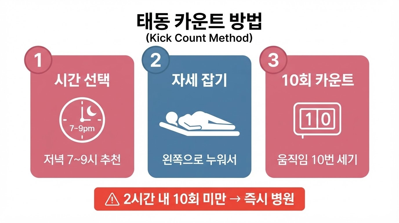 태동 카운트(킥 카운트) 3단계 인포그래픽. 시간 선택(저녁 7~9시), 왼쪽으로 누워 자세 잡기, 10회 카운트. 하단 즉시 병원 경고 박스.