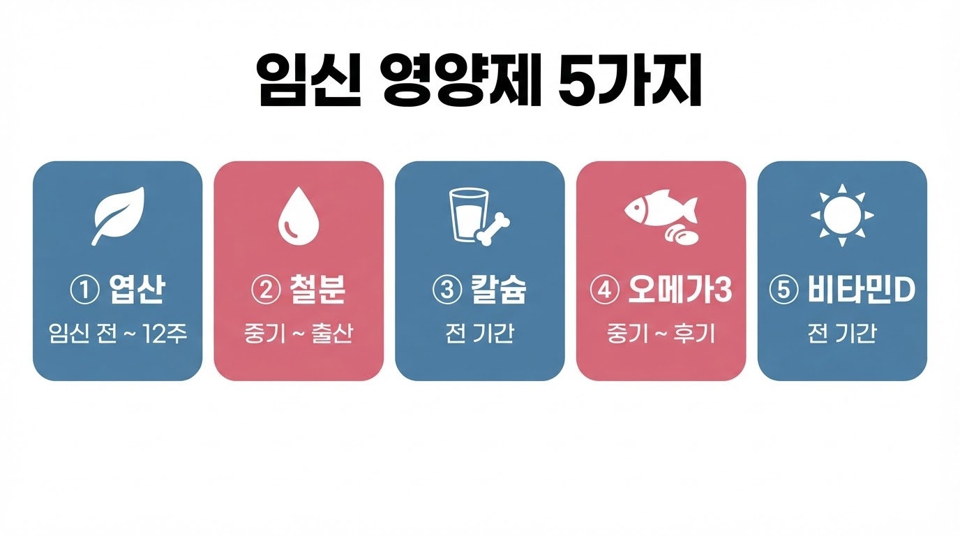 임신 영양제 5가지 인포그래픽 — 엽산 철분 칼슘 오메가3 비타민D의 역할과 권장 시기를 카드로 정리한 이미지