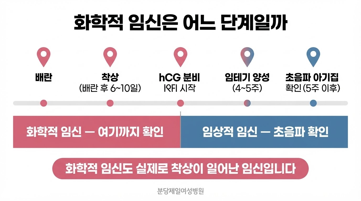 배란, 착상, hCG 분비, 임테기 양성, 초음파 아기집 확인까지 다섯 단계를 가로 타임라인으로 잇고 아래에 화학적 임신 구간과 임상적 임신 구간을 색으로 나누어 표시한 한글 인포그래픽