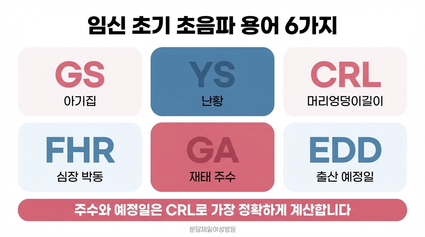 임신 초기 초음파 용어를 GS 아기집, YS 난황, CRL 머리엉덩이길이, FHR 심장 박동, GA 재태 주수, EDD 출산 예정일 여섯 개의 카드로 짝지어 정리한 한글 인포그래픽
