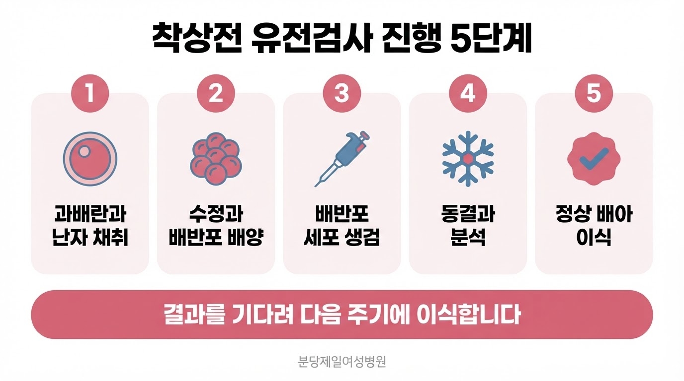 착상전 유전검사 진행 과정을 과배란과 난자 채취, 수정과 배반포 배양, 배반포 세포 생검, 동결과 분석, 정상 배아 이식 다섯 단계의 번호 카드와 아이콘으로 정리한 한글 인포그래픽