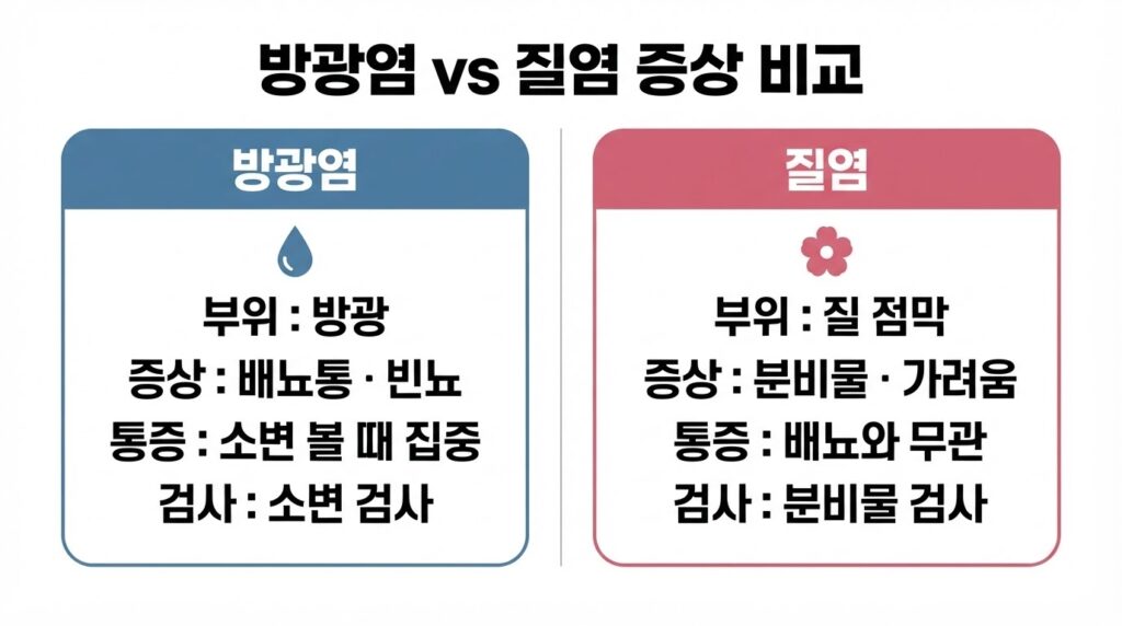 방광염과 질염 비교 인포그래픽. 방광염은 방광 부위에 배뇨통과 빈뇨가 소변 볼 때 집중되어 소변 검사로, 질염은 질 점막에 분비물과 가려움이 배뇨와 무관하게 나타나 분비물 검사로 확인