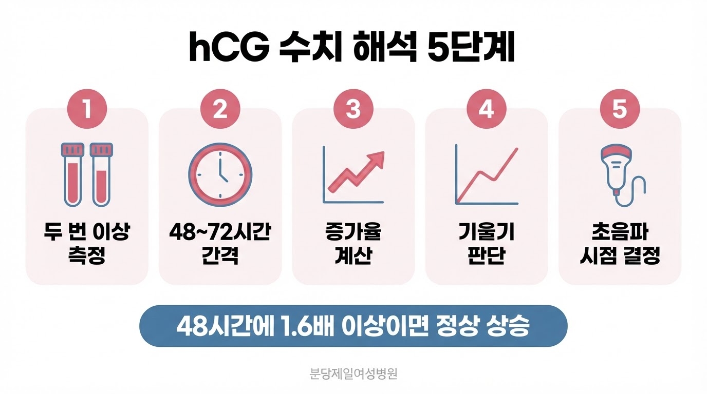 hCG 수치 해석을 두 번 이상 측정, 48~72시간 간격, 증가율 계산, 기울기 판단, 초음파 시점 결정 다섯 단계 번호 카드로 나누고 하단에 1.6배 기준을 강조한 한글 인포그래픽