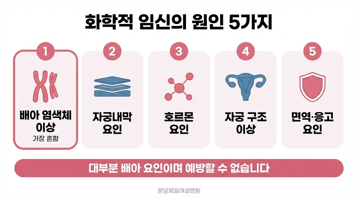화학적 임신의 원인을 배아 염색체 이상, 자궁내막 요인, 호르몬 요인, 자궁 구조 이상, 면역·응고 요인 다섯 번호 카드로 나누고 가장 흔한 첫 번째 카드를 강조한 한글 인포그래픽