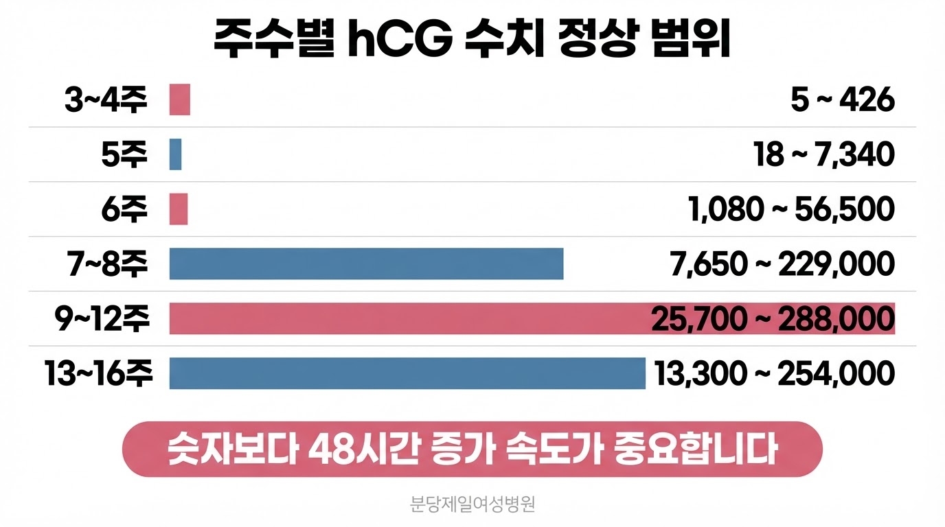임신 3~4주부터 13~16주까지 여섯 구간의 hCG 수치 정상 범위를 가로 막대로 나란히 표시하고 하단에 숫자보다 48시간 증가 속도가 더 중요하다는 문구를 강조한 한글 인포그래픽