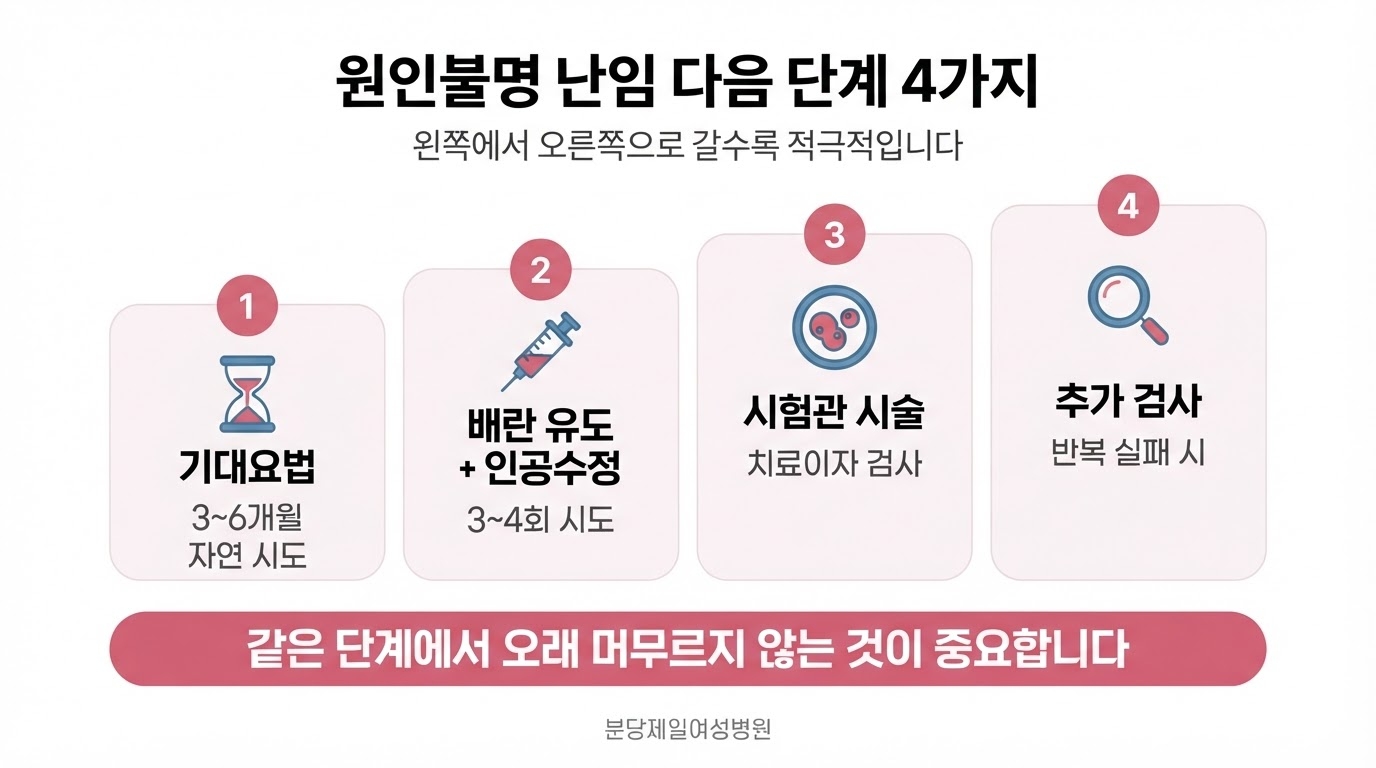 원인불명 난임의 다음 단계를 기대요법, 배란 유도와 인공수정, 시험관 시술, 추가 검사 네 개의 번호 카드로 나누고 오른쪽으로 갈수록 높아지는 계단 형태로 배치한 한글 인포그래픽 이미지