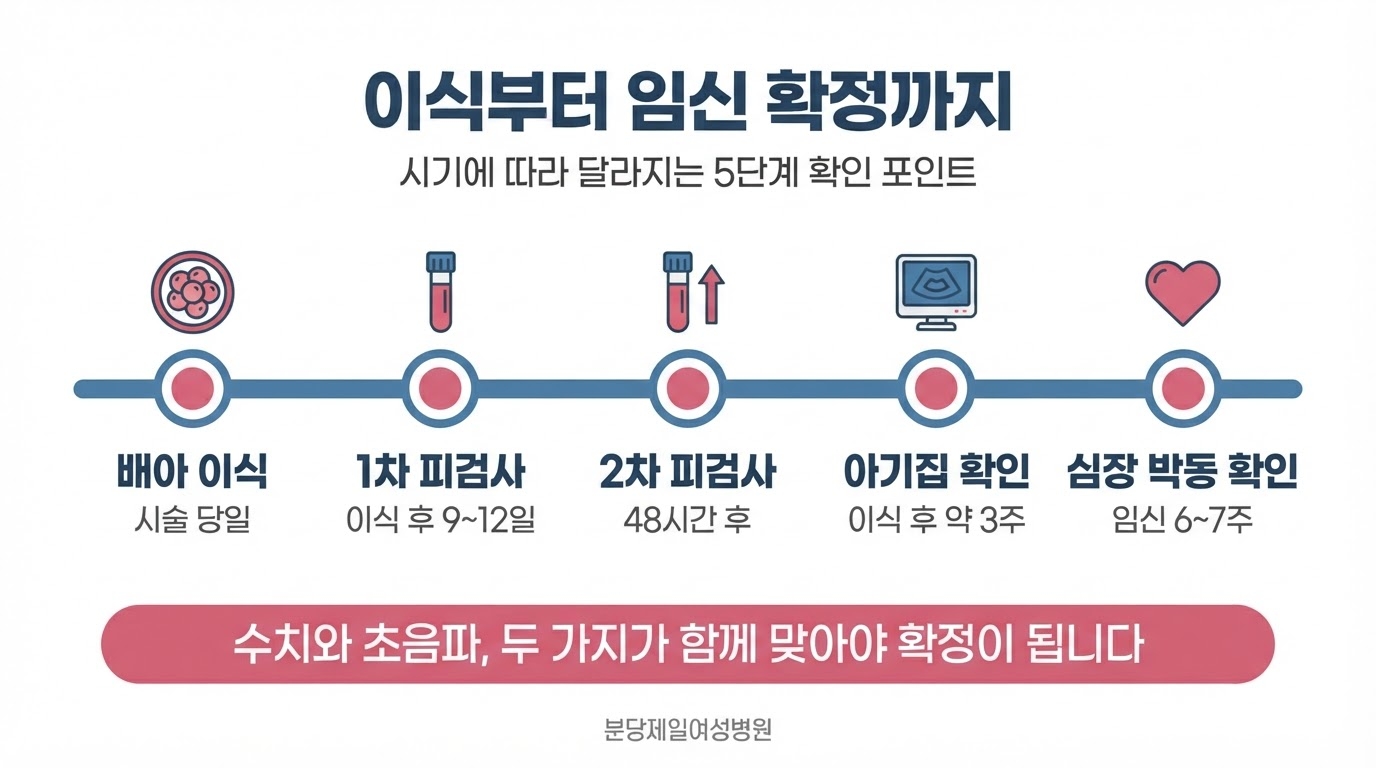 배아 이식 시술 당일, 1차 피검사 이식 후 9~12일, 2차 피검사 48시간 후, 아기집 확인 이식 후 약 3주, 심장 박동 확인 임신 6~7주 다섯 단계를 가로 타임라인으로 정리한 인포그래픽