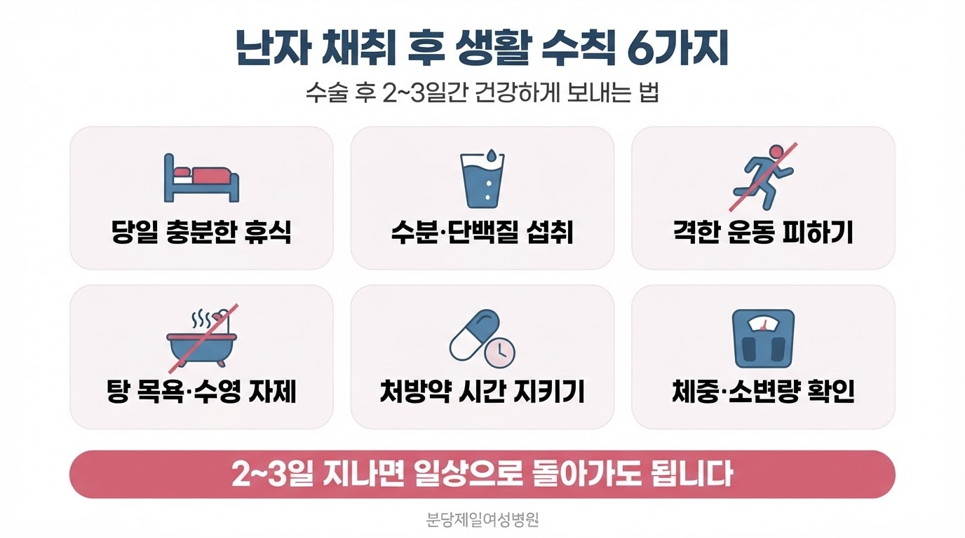 난자 채취 후 생활 수칙을 당일 충분한 휴식, 수분·단백질 섭취, 격한 운동 피하기, 탕 목욕·수영 자제, 처방약 시간 지키기, 체중·소변량 확인 여섯 개 아이콘 카드로 정리한 한글 인포그래픽